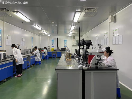 森豐PVD間電方式 軟件研發(fā)與銷(xiāo)售的戰(zhàn)略布局